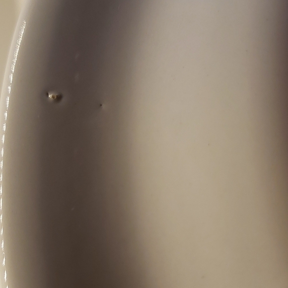 Portmeirion Birds of Britain Magpie Pica Pica Dinner Plate Green Band 1… - Picture 7 of 7